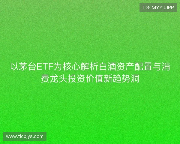 以茅台ETF为核心解析白酒资产配置与消费龙头投资价值新趋势洞